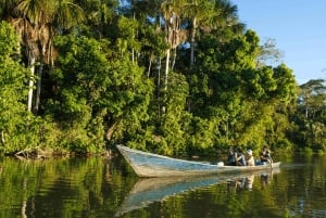 From Iquitos: Full day tour in the Peruvian jungle