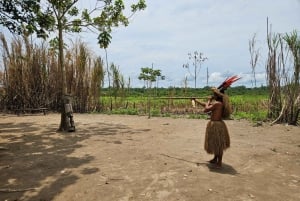 From Iquitos: Full day tour in the Peruvian jungle