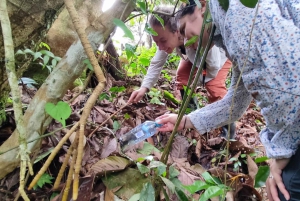Fra Iquitos: Dagsudflugt til Nauta med jungletur og frokost