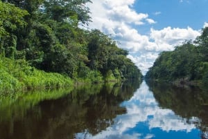 From Iquitos: Nauta Day Trip with Jungle Walk and Lunch
