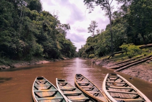 From Iquitos || Navigate the Amazon River - Full day ||