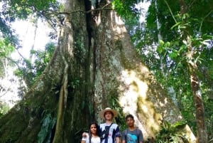 From Iquitos: Pacaya Samiria National Reserve Day Trip