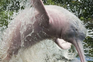 De Iquitos - Excursão à Reserva Pacaya Samiria