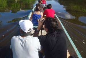 From Iquitos || Tour to the Amazon, Nanay and Momon rivers||