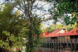 From Iquitos || Tour to the Amazon, Nanay and Momon rivers||