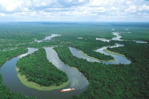 From Iquitos || Tour to the Amazon, Nanay and Momon rivers||