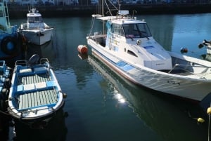 Da La Paz: tour privato del lago Titicaca e di Copacabana