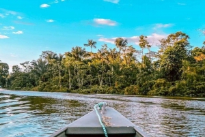 From Leticia: Wild Amazonas Adventure 4-Day Tour