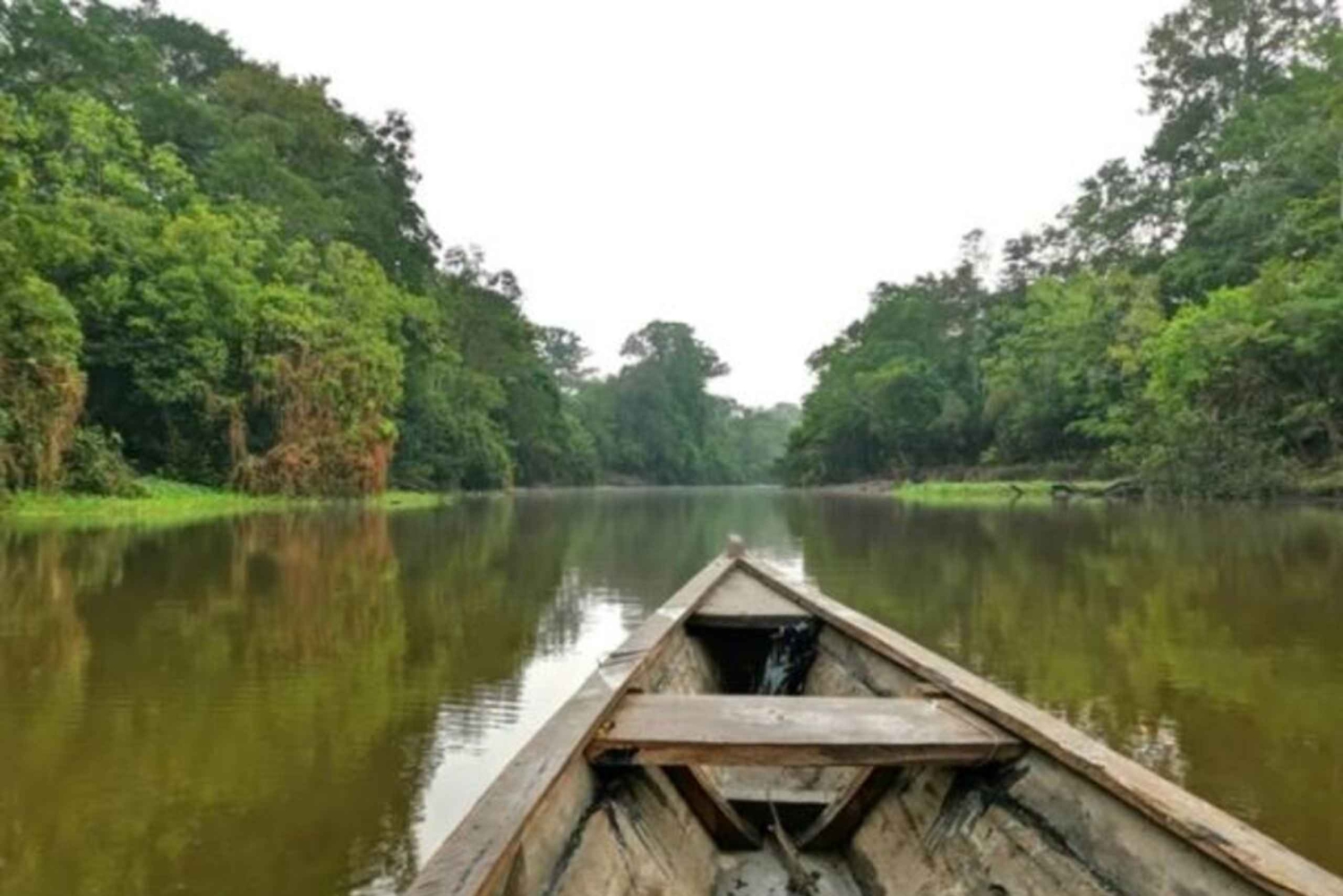 From Leticia: Wild Amazonas Adventure 4-Day Tour