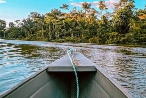 Van Leticia: 4-daagse avontuurlijke Amazonas-tour