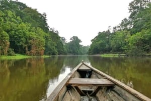 Fra Leticia: Vildt Amazonas-eventyr 4-dages tur