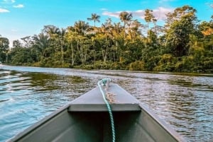 Fra Leticia: Vildt Amazonas-eventyr 4-dages tur