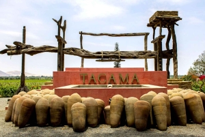 From Lima: 10-Day Tour to Machu Picchu and Lake Titicaca