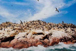 From Lima: 10-Day Tour to Machu Picchu and Lake Titicaca