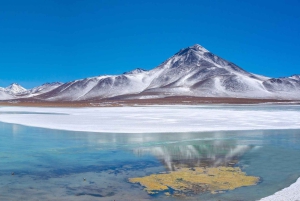 Från Lima: 16-dagars rundtur i Peru och Bolivia med boende