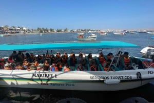 Fra Lima: 2 dage Nazca-linjer, Paracas Ica Huacachina