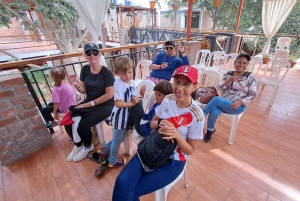 From Lima: 2 Days Nazca Lines, Paracas Ica Huacachina