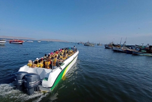 From Lima: 2 Days Nazca Lines, Paracas Ica Huacachina