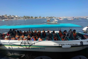From Lima: 2 Days Nazca Lines, Paracas Ica Huacachina
