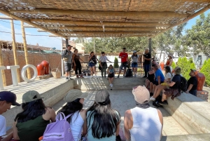 From Lima: 2 Days Nazca Lines, Paracas Ica Huacachina