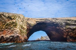 From Lima: 2 Days Nazca Lines, Paracas Ica Huacachina