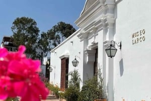 From Lima, 5D Maritime and Desert Routes: Ballestas, Nazca, and Larco Museum