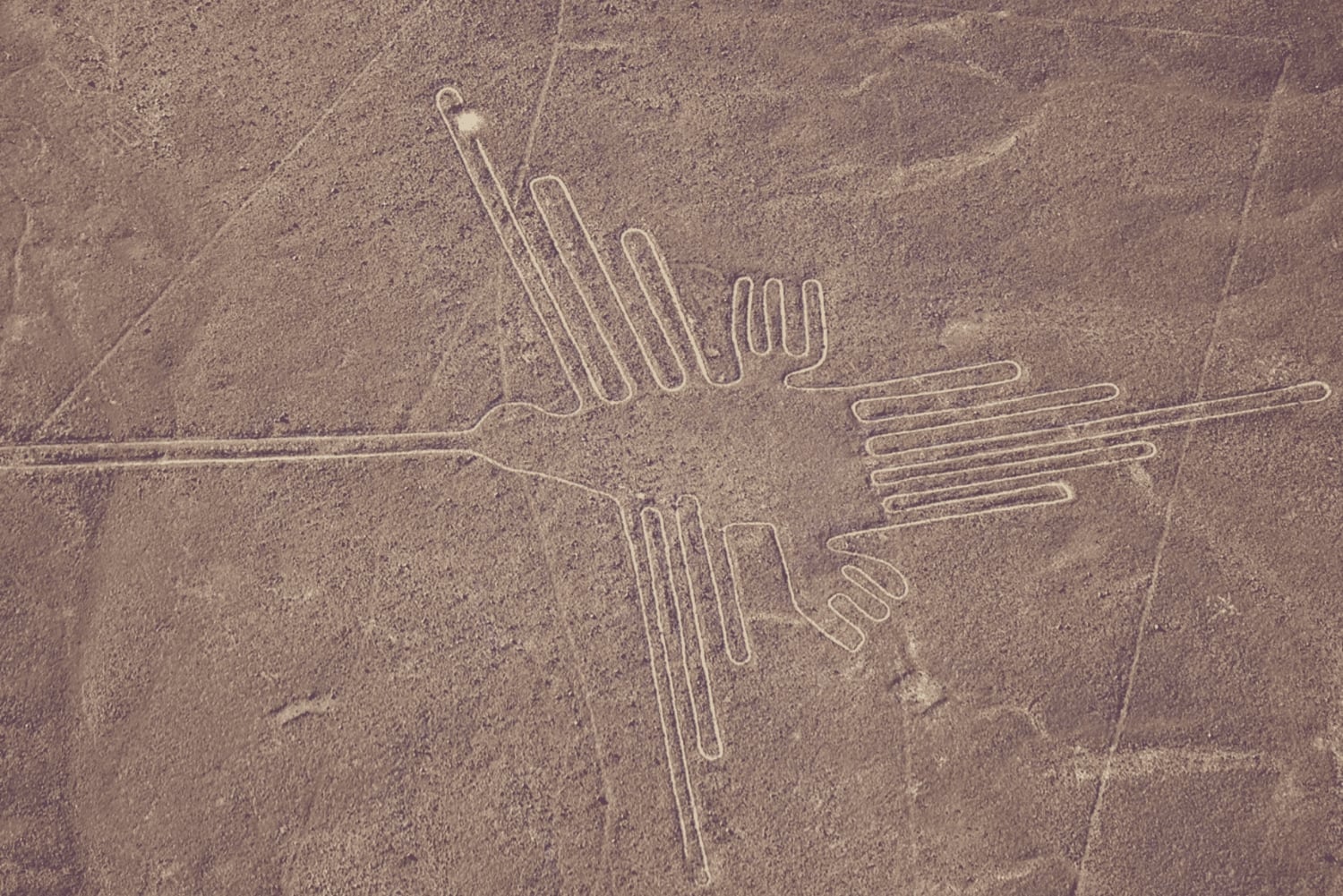 Vanuit Lima een dagtocht naar de mysterieuze Nazca-lijnen met een overvlucht