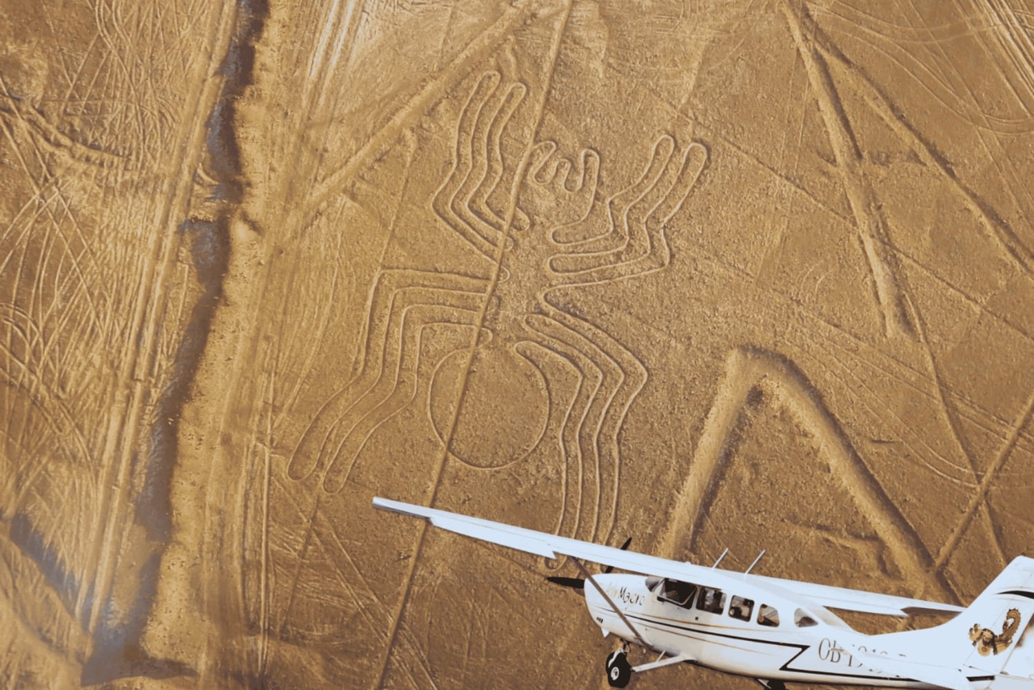 Vanuit Lima een dagtocht naar de mysterieuze Nazca-lijnen met een overvlucht