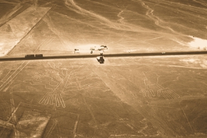 Vanuit Lima een dagtocht naar de mysterieuze Nazca-lijnen met een overvlucht