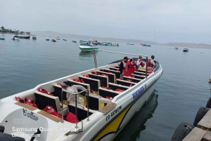 From Lima: Ballestas Island and Paracas Reserve Private Tour