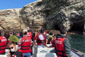 From Lima: Ballestas Island and Paracas Reserve Private Tour