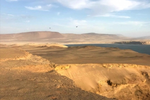From Lima: Ballestas Island and Paracas Reserve Private Tour