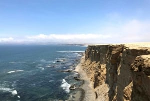 From Lima: Ballestas Island and Paracas Reserve Private Tour