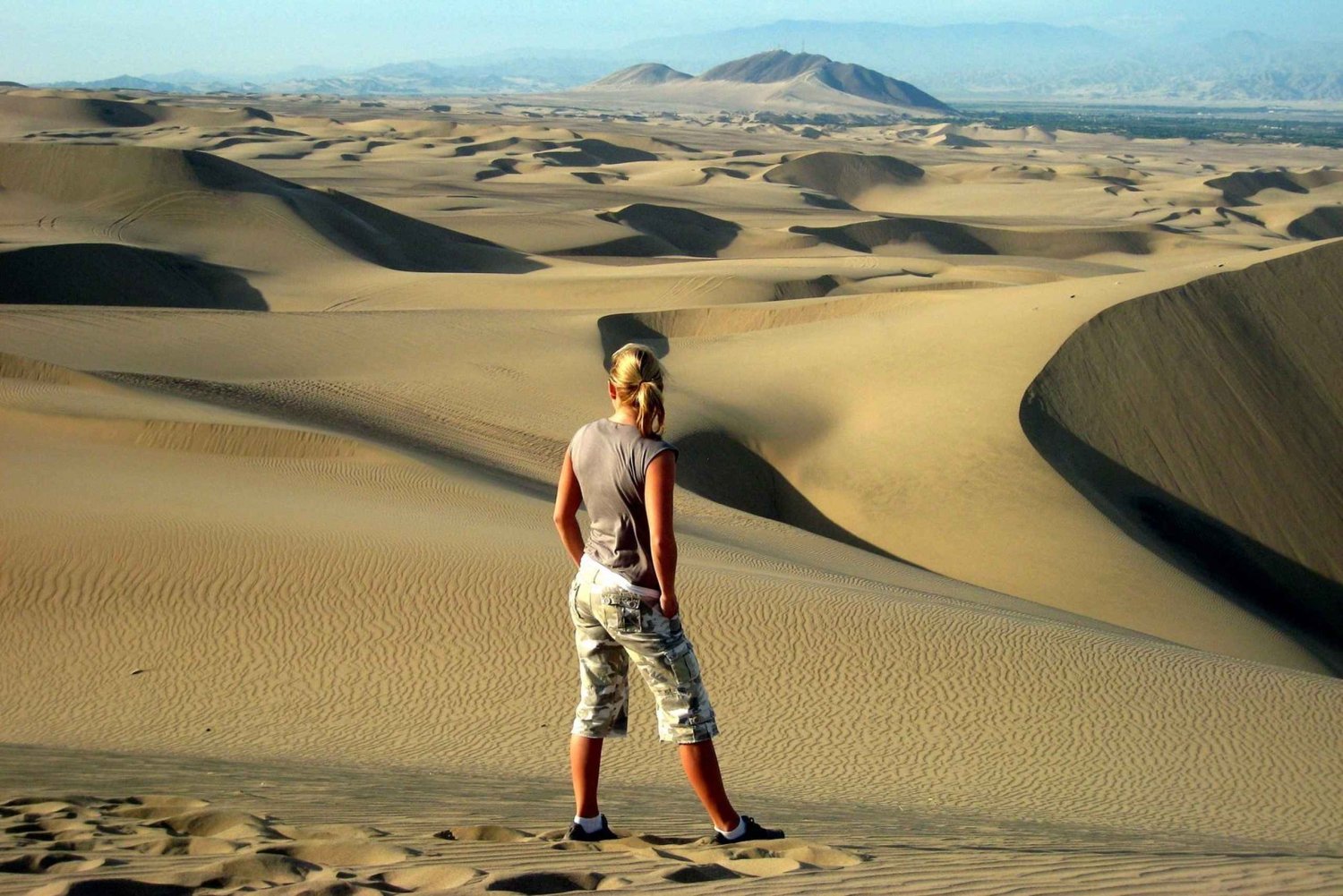 Fra Lima: Heldagstur til Ballestasøerne og Huacachina-oasen