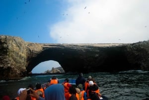 From Lima: Ballestas Island & Huacachina Oasis Full-Day Tour