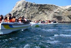 From Lima: Ballestas Island & Huacachina Oasis Full-Day Tour