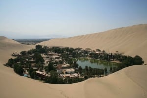 From Lima: Ballestas Island & Huacachina Oasis Full-Day Tour