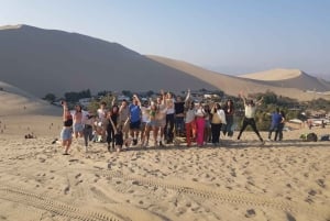 From Lima: Ballestas Island & Huacachina Oasis Full-Day Tour