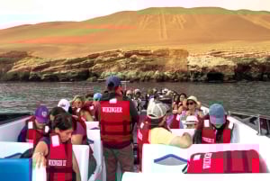 From Lima: Ballestas Island & Huacachina Oasis Full-Day Tour