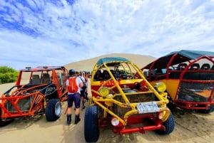 From Lima: Ballestas Island & Huacachina Oasis Full-Day Tour