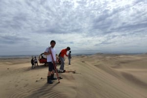 From Lima: Ballestas Island & Huacachina Oasis Full-Day Tour