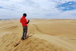From Lima: Ballestas Island & Huacachina Oasis Full-Day Tour