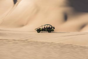 From Lima: Ballestas Islands, Buggies, and Sandboarding in Huacachina