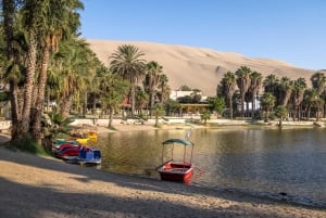From Lima: Ballestas Islands, Buggies, and Sandboarding in Huacachina