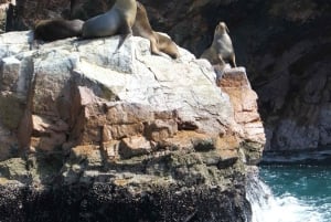 From Lima: Ballestas Islands + Buggy and Sandboarding in Huacachina – Full Day