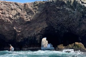 From Lima: Ballestas Islands + Buggy and Sandboarding in Huacachina – Full Day