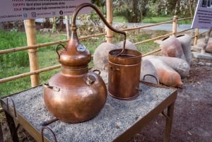 Från Lima: Ballestasöarna, Huacachina och vingårdstur