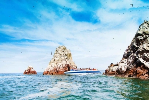 From Lima: Ballestas Islands, Huacachina, and Vineyard Tour
