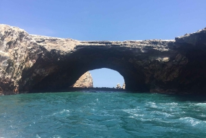 From Lima: Ballestas Islands, Huacachina, and Vineyard Tour