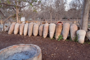 From Lima: Ballestas Islands, Huacachina, and Vineyard Tour